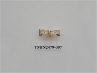 藏品(彎拐美苔蛾)的圖片